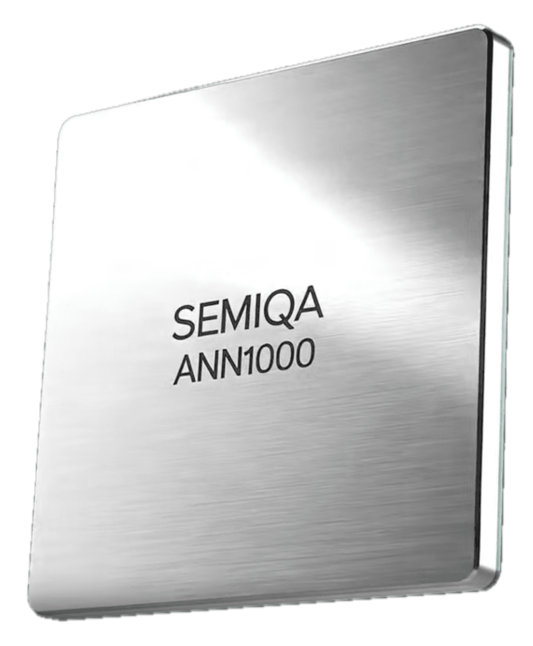 SEMIQA ANN chip